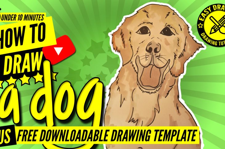 How to Draw a Dog